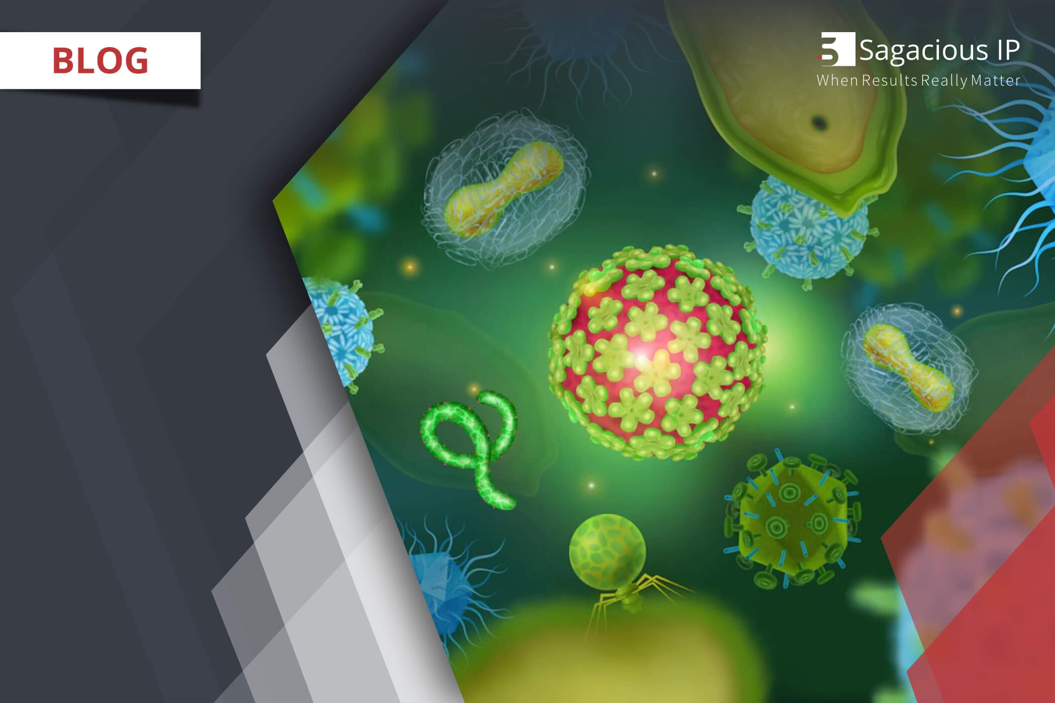 ebola-virus-patents