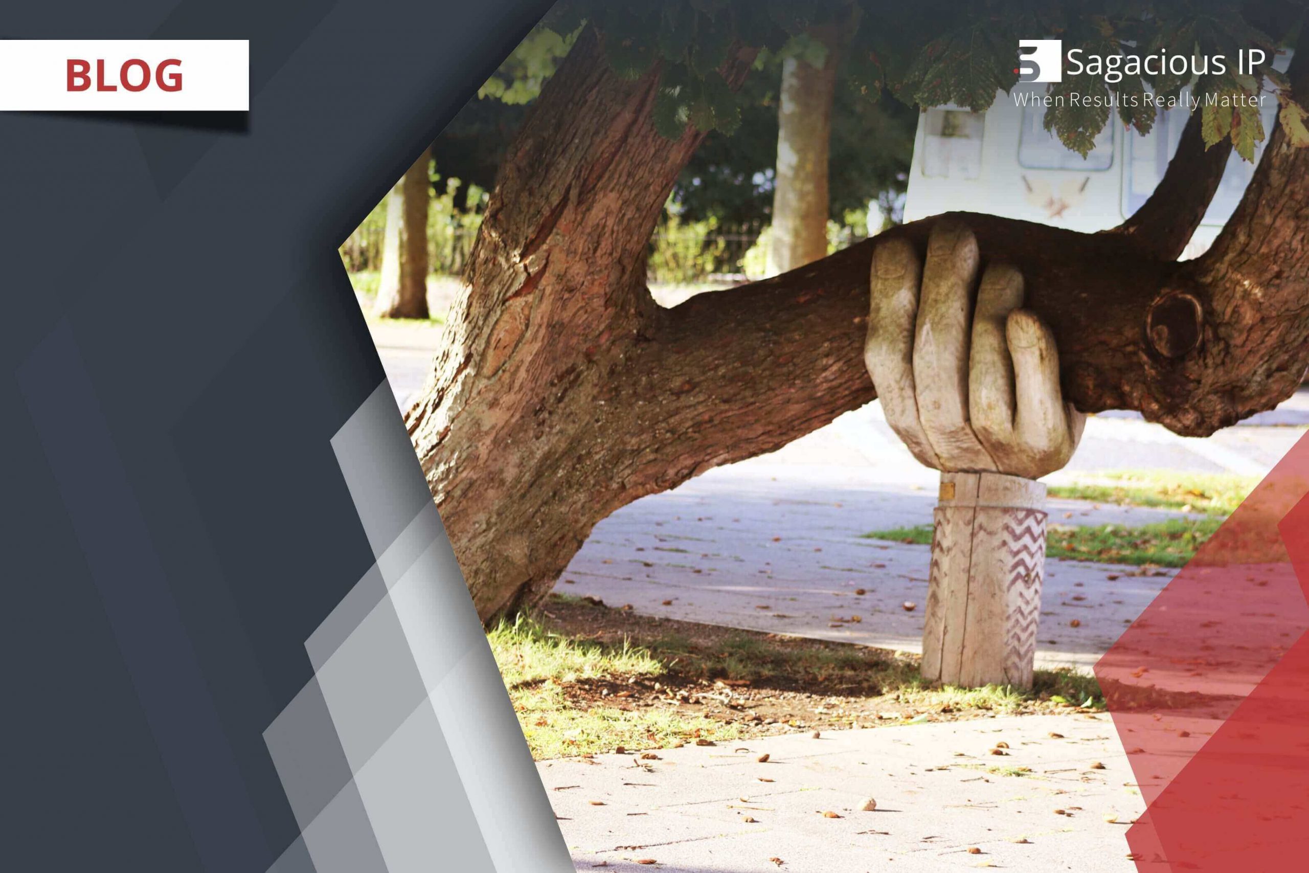 Client Stories Supporting Licensing Firms Through Sagacious IP Expertise