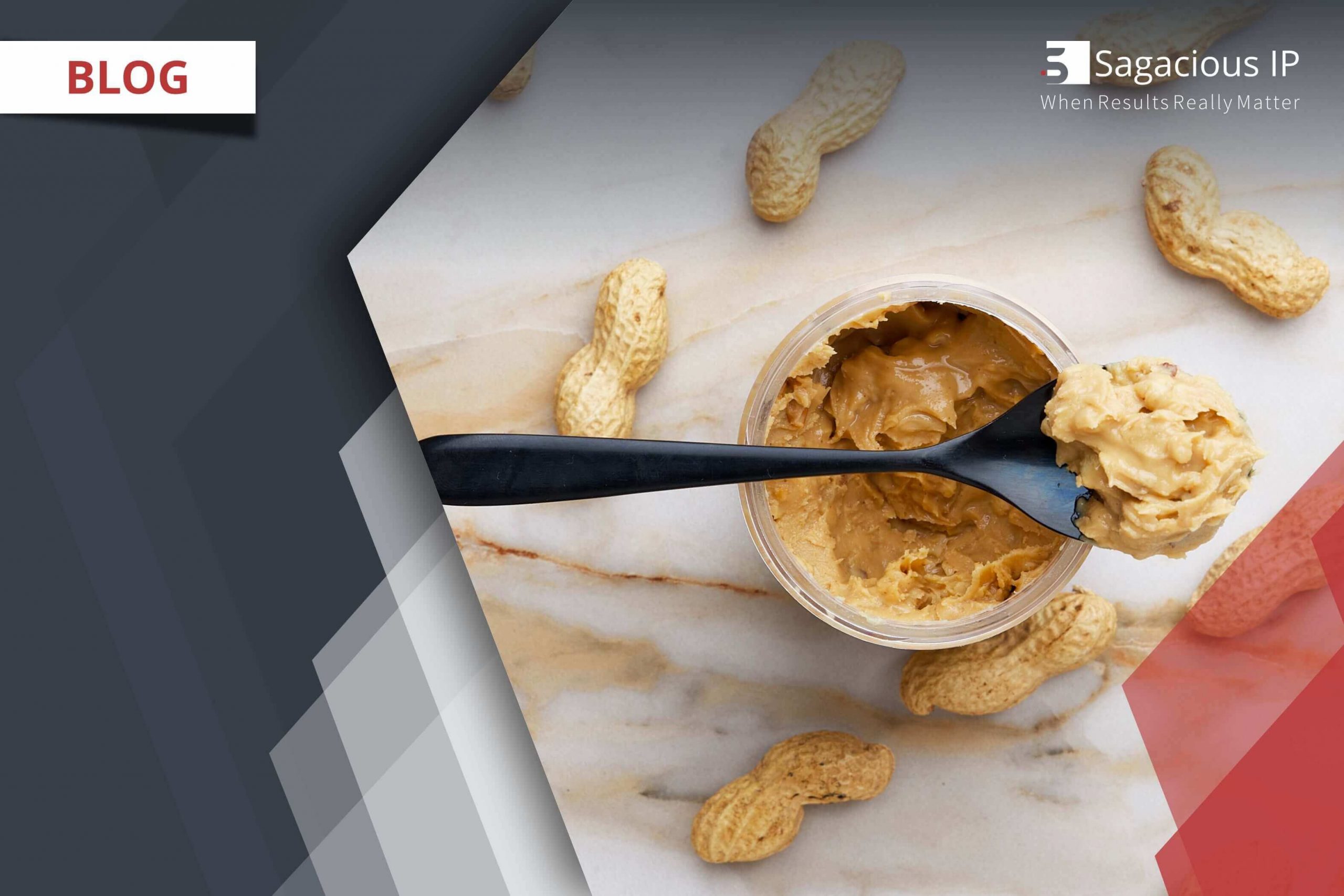 Fat Replacers An Upcoming Alternative to Conventional Fats (1)