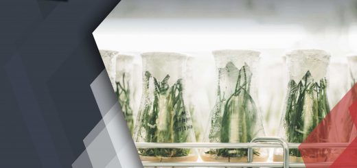 Gene Editing - Boon or Bane for the Agricultural Industry