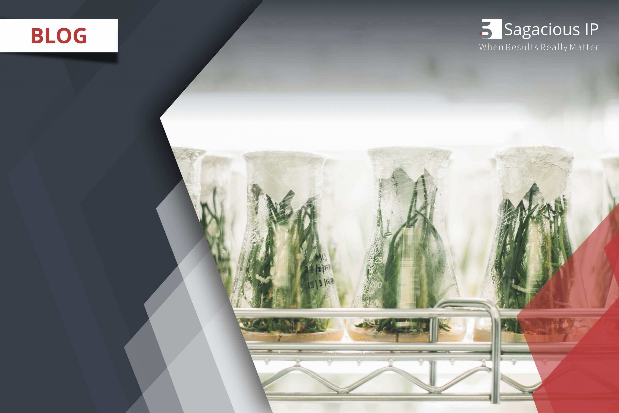 Gene Editing - Boon or Bane for the Agricultural Industry