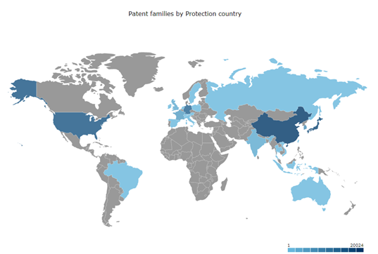 patent families by protection country