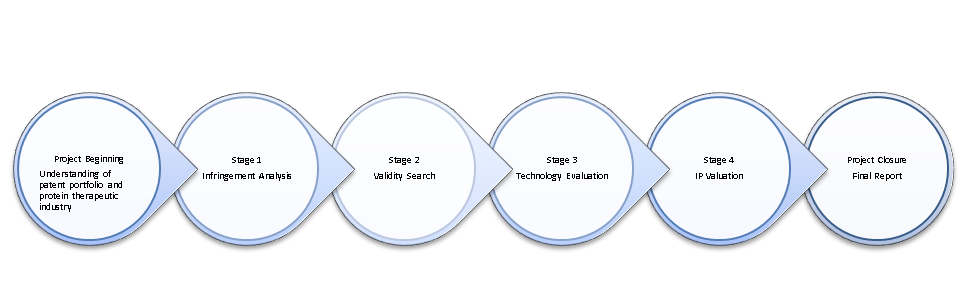 Project Summary_Patent Monetization Study