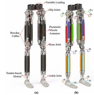 Actuators_Humanoid Robot