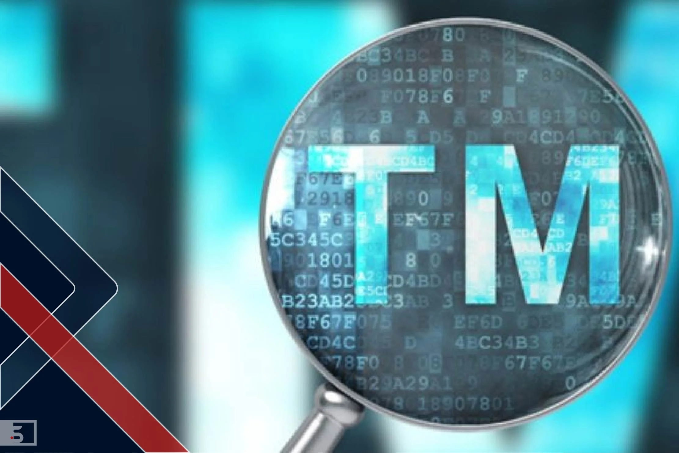 Comprehensive Trademark Search Report Sample