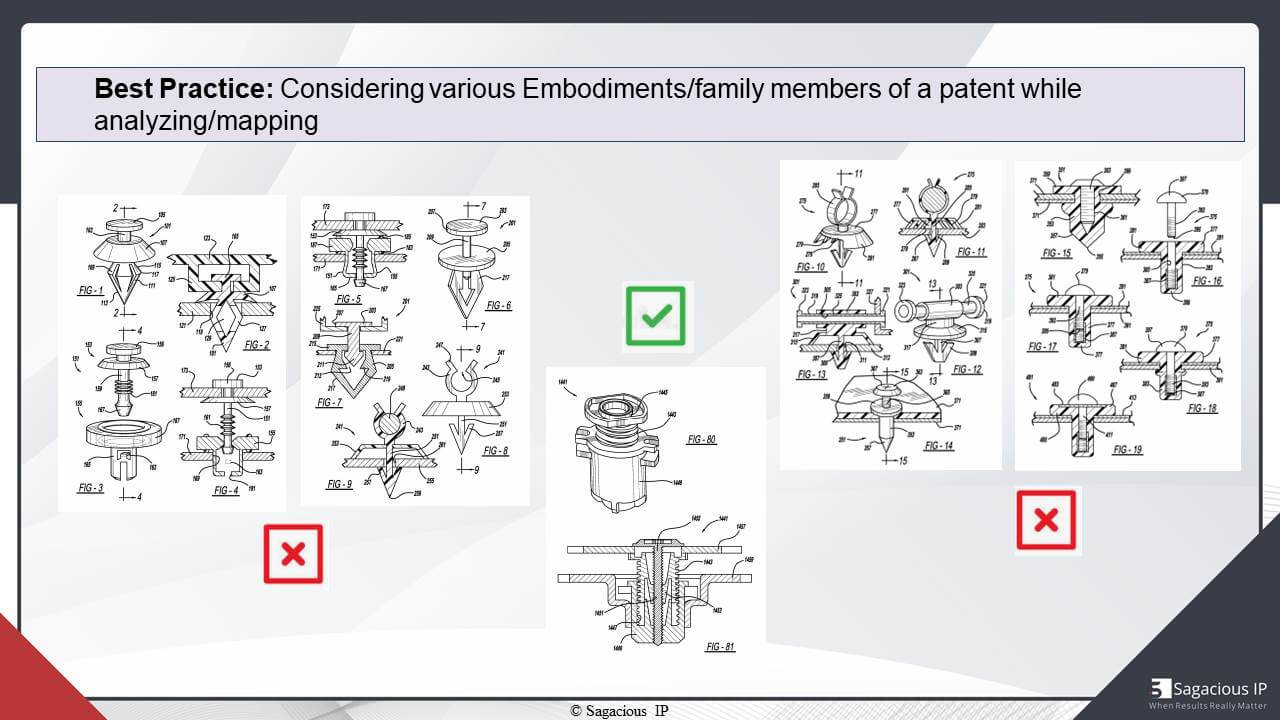 Considering Various Embodiments/Family Members of a Patent while Analysing/Mapping