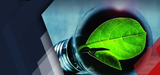 How Start-ups and MSMEs can Innovate and Lead India into a Green Future