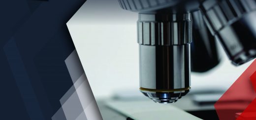Is it Safe to Outsource Your R&D How to Make an Informed Decision