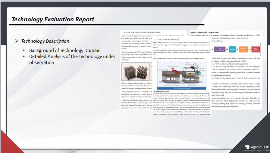Detailed Section of Technology Evaluation Report - Technology Description