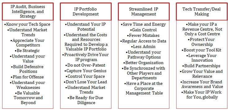 approach-to-sustainable-ip