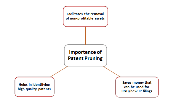 significance-of-patent-pruning